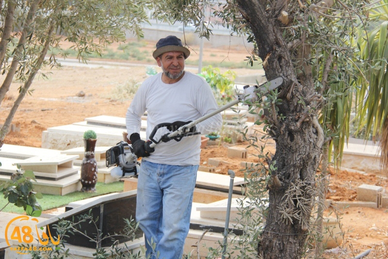 tasoooi3i1412 (46).JPG